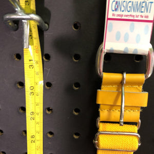 baseball belt