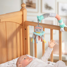 Load image into Gallery viewer, Dingle Dangle Baby Travel Mobile
