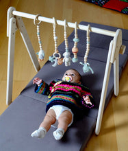 Load image into Gallery viewer, Montessori Baby Gym &amp; Hanging Toys Set | Wooden Play Gym for Babies
