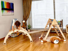 Load image into Gallery viewer, 4 Pieces Climbing Set - Climbing Triangle, Arch Rocker, Pillow, and 2in1 Ramp

