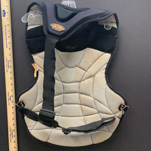 Snow boarding back protector