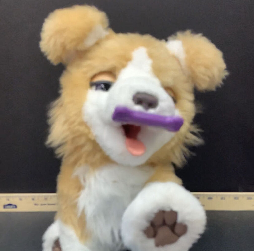 Archived on 2021-09-29 by SC for fulfilment