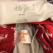 Load image into Gallery viewer, 2 pc Lobster swim set
