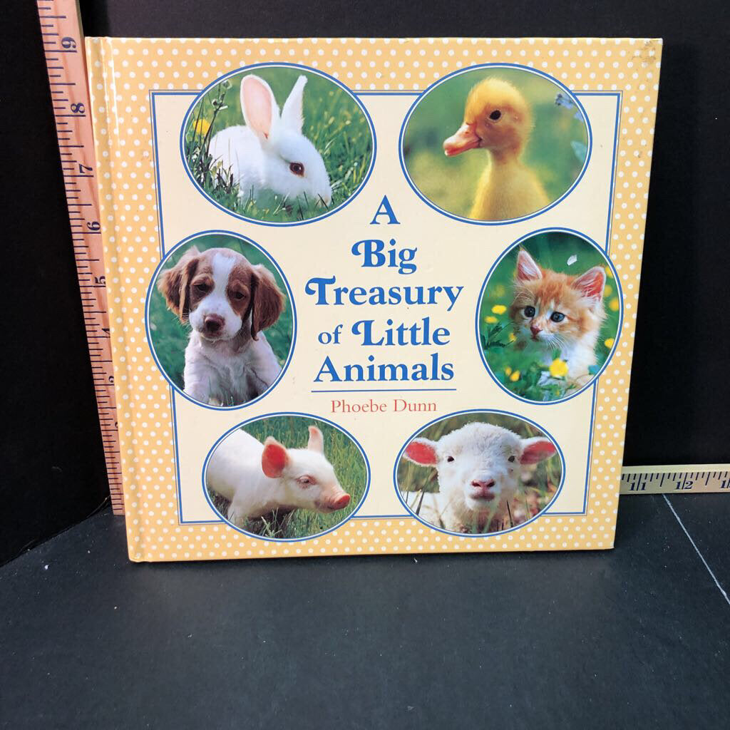 Big Treasury of Little Animals(Phoebe Dunn)-hardcover