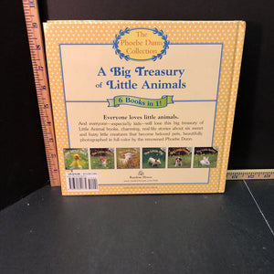 Big Treasury of Little Animals(Phoebe Dunn)-hardcover