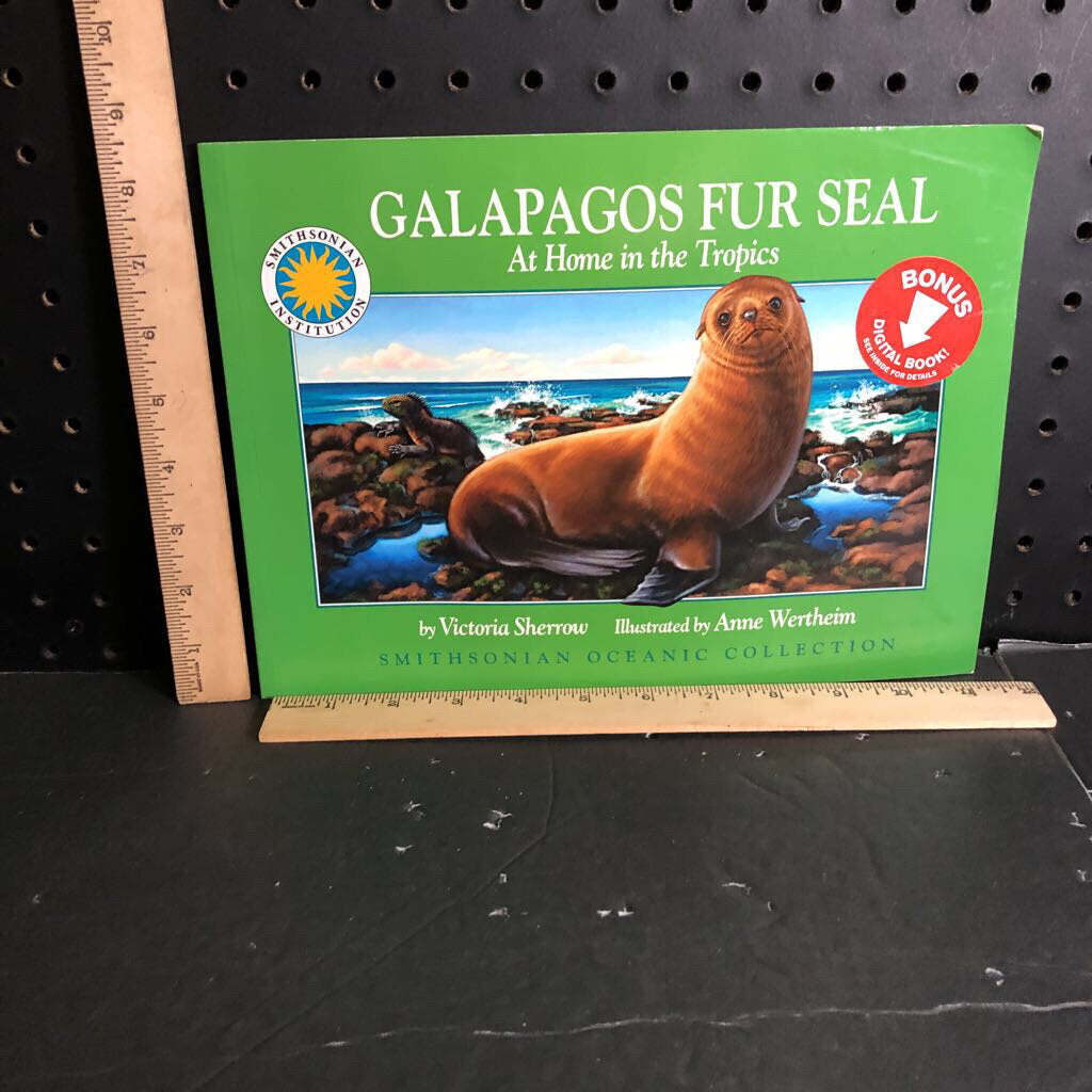 Galapagos fur seal (Victoria Sherrow)-educational