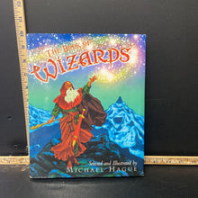 Load image into Gallery viewer, The Book of Wizards(Michael Hague)-mythology
