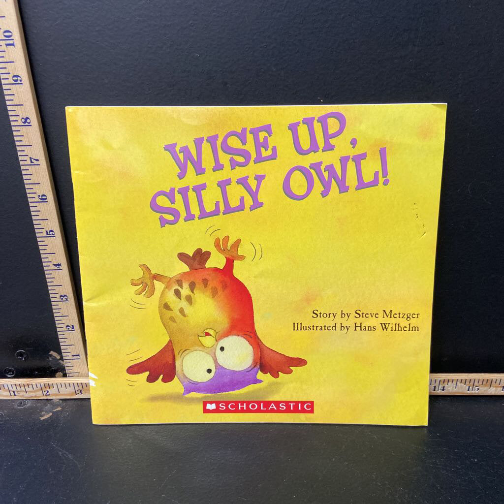 Wise up, silly Owl! (Steve Metzger)-paperback