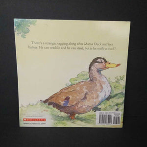 Do Like a Duck Does (Judy Hindley) -paperback