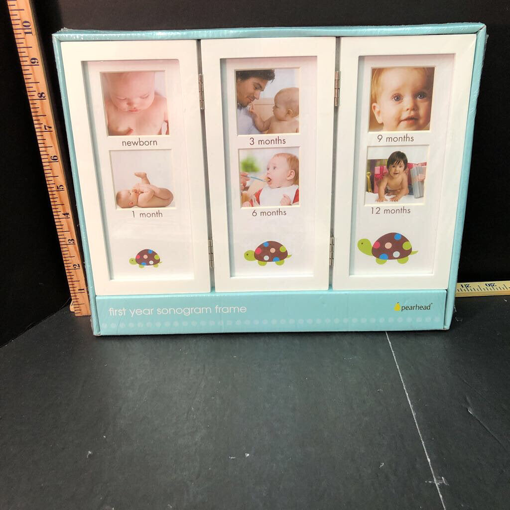 First years baby milestone folding picture frame