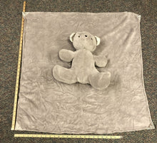 Load image into Gallery viewer, Teddy bear w/blanket
