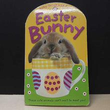 Load image into Gallery viewer, Easter Bunny -holiday touch &amp; feel
