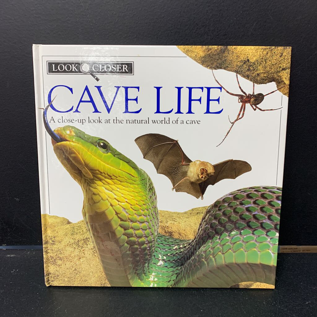 Cave Life (Environment) -educational
