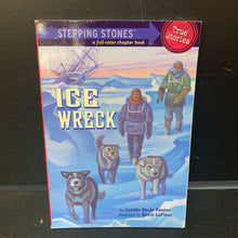 Load image into Gallery viewer, Ice Wreck (Stepping Stones) -reader
