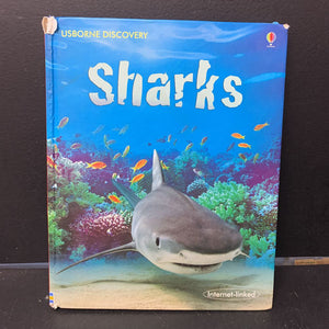 Sharks (Usborne) -educational