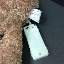 Load image into Gallery viewer, Until We Hug Again! Recordable Bear
