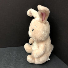 Load image into Gallery viewer, &quot;The Itsy Bitsy Bunny&quot; Bunny Plush
