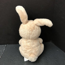 Load image into Gallery viewer, &quot;The Itsy Bitsy Bunny&quot; Bunny Plush
