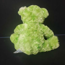 Load image into Gallery viewer, 4 Leaf Clover St. Patrick&#39;s Day Bear
