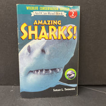 Load image into Gallery viewer, Amazing sharks/ amazing dolphins (i can read)-educational reader
