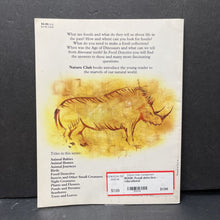 Load image into Gallery viewer, Fossil detective (Joyce Pope) -educational
