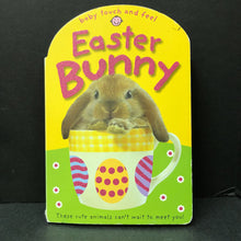 Load image into Gallery viewer, Easter Bunny -holiday touch &amp; feel
