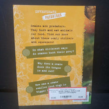Load image into Gallery viewer, Snakes: Strikers and Squeezers (Investigate: Predators) (Lynette Evans) (Reptiles) -educational reader
