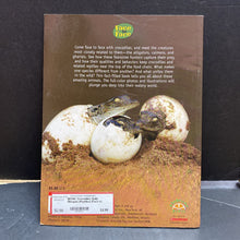 Load image into Gallery viewer, Crocodiles (Sally Morgan) (Reptiles) (Face to Face) -educational
