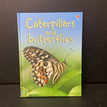 Load image into Gallery viewer, Caterpillars and Butterflies (Usborne) (Stephanie Turnbull) -educational hardcover
