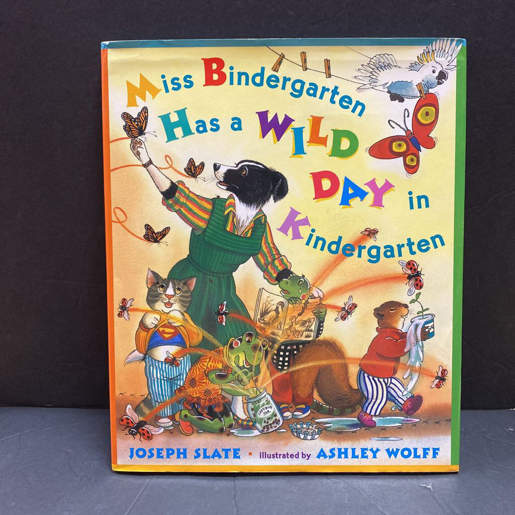 Miss Bindergarten Has A Wild Day in Kindergarten (Elementary School) (Joseph Slate)-hardcover