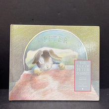 Load image into Gallery viewer, The Tale of Peter Rabbit (Beatrix Potter)-hardcover
