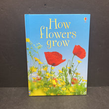 Load image into Gallery viewer, How Flowers Grow (Usborne)(Emma Helbrough)-educational
