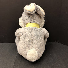 Load image into Gallery viewer, Bunny Plush
