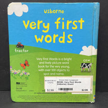 Load image into Gallery viewer, Very First Words (Usborne) -board
