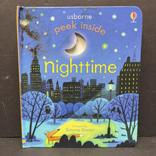 Load image into Gallery viewer, Nighttime (Usborne) -board
