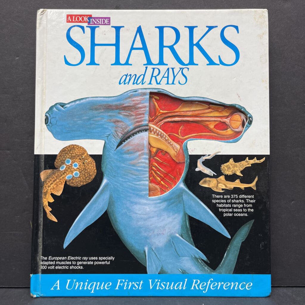 Sharks & Rays (Keith Banister) -hardcover educational