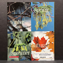 Load image into Gallery viewer, A Tree for All Seasons (National Geographic) (Robin Bernard) -paperback educational
