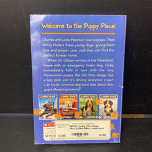 Load image into Gallery viewer, Teddy (The Puppy Place) (Ellen Miles) -paperback series
