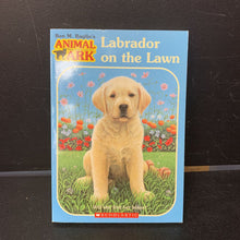 Load image into Gallery viewer, Labrador on the Lawn (Ben M. Baglio) (Animal Ark) -paperback series
