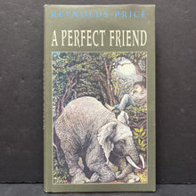 Load image into Gallery viewer, A Perfect Friend (Reynolds Price) -hardcover chapter
