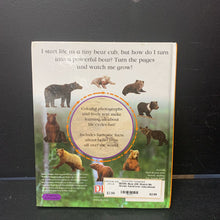 Load image into Gallery viewer, Bear (DK Watch Me Grow) -hardcover educational
