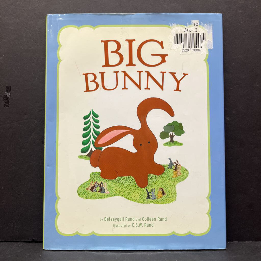 Big Bunny (Betseygail & Colleen Rand) -hardcover