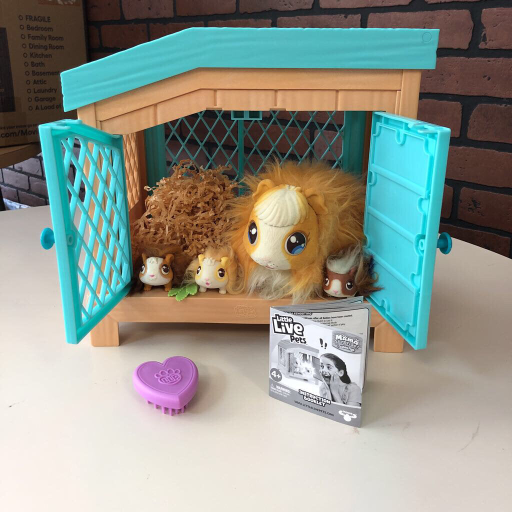 Guinea Pig Supplies, Accessories & Toys