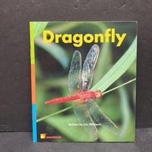 Load image into Gallery viewer, Dragonfly (Eric Michaels) (Sundance) -character reader
