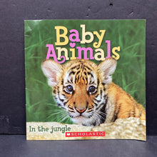 Load image into Gallery viewer, Baby Animals: In the Jungle -paperback educational
