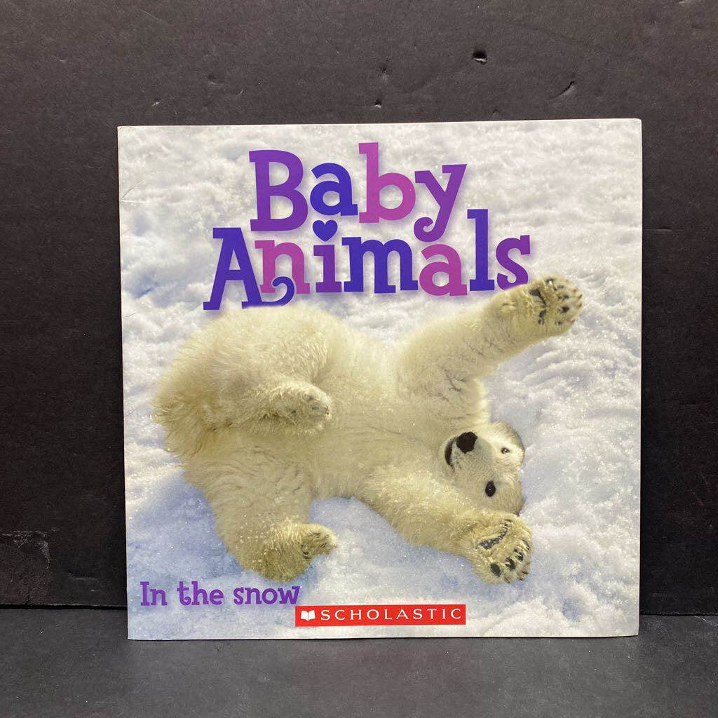 Baby Animals In The Snow -paperback educational