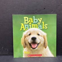 Load image into Gallery viewer, Baby Animals: Pets -paperback educational
