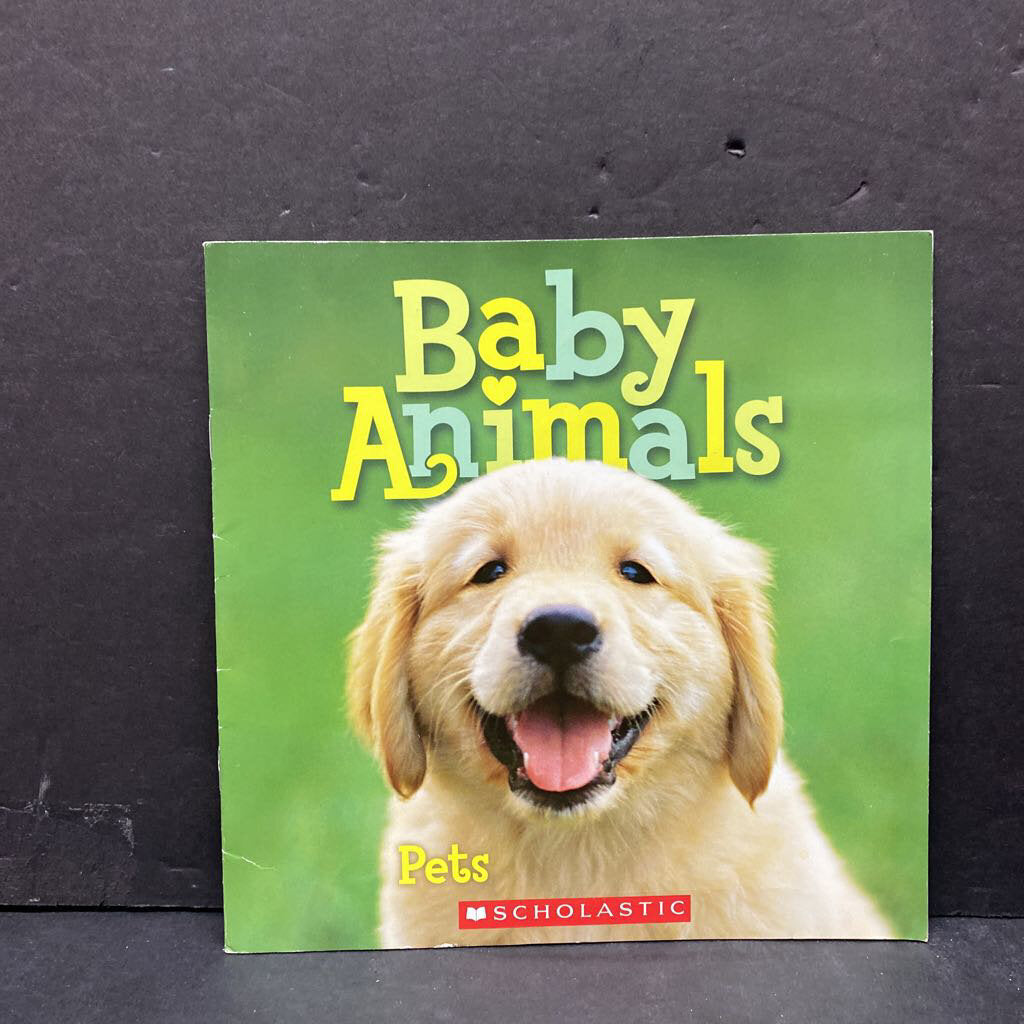 Baby Animals: Pets -paperback educational
