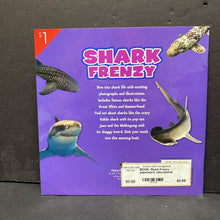 Load image into Gallery viewer, Archived on 2023-10-31 by SC for fulfilment
