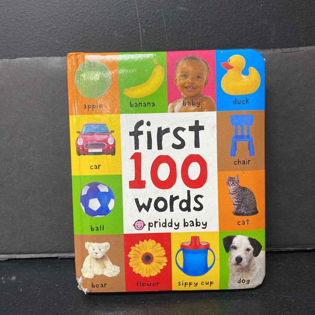 First 100 Words (Roger Priddy Baby) -educational board